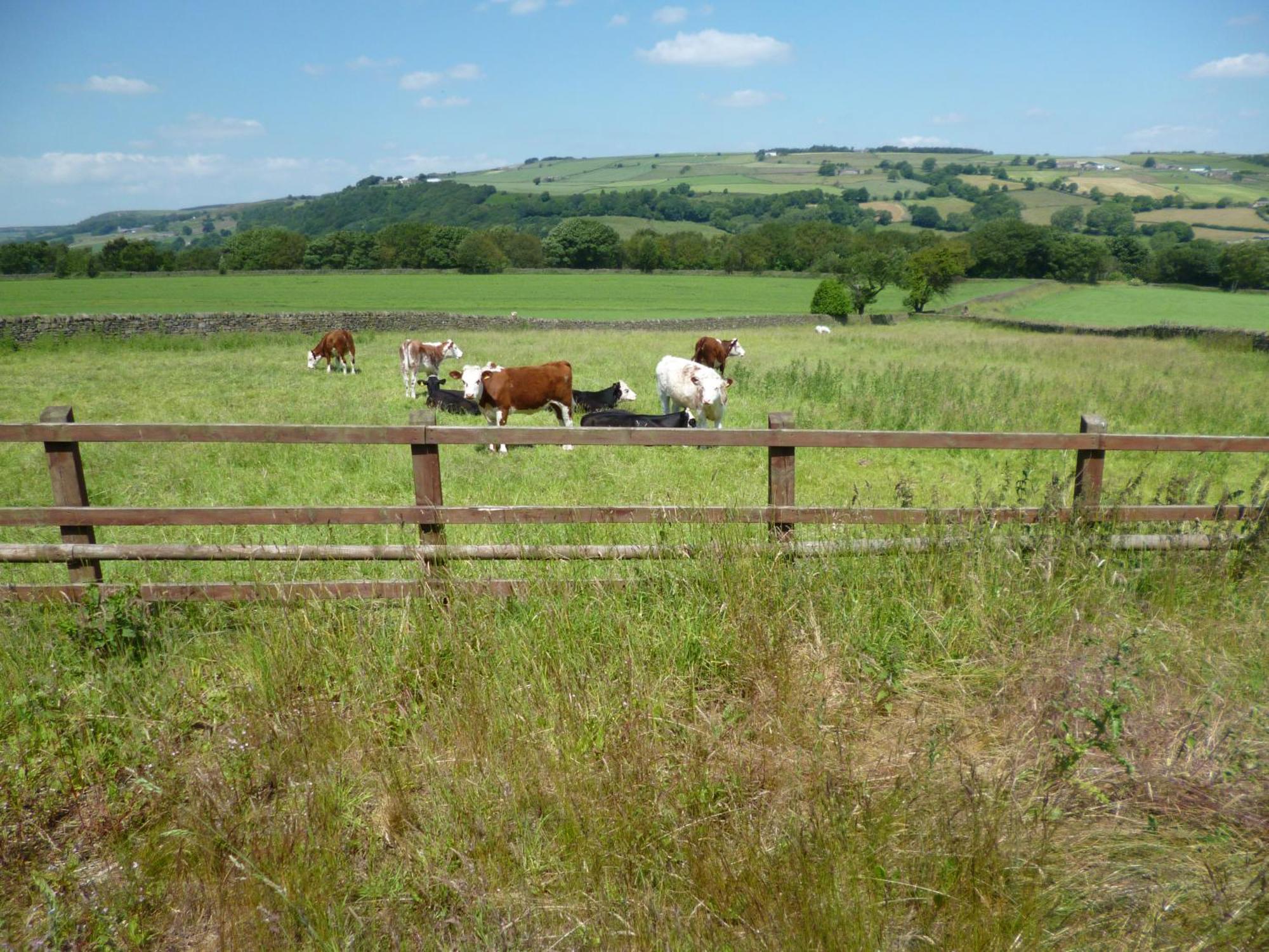 Apartamento Padley Farm Bradfield Exterior foto